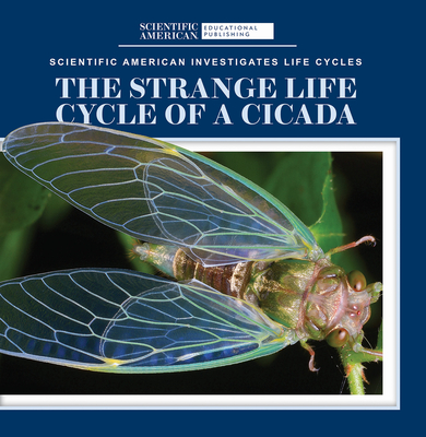Coperta cărții 'The Strange Life Cycle of a Cicada - Anna Mcdougal'