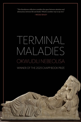 Terminal Maladies - Okwudili Nebeolisa
