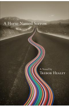 Coperta cărții 'Horse Named Sorrow - Trebor Healey'