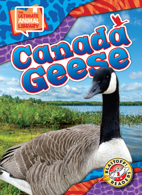 Coperta cărții 'Canada Geese - Janie Scheffer'