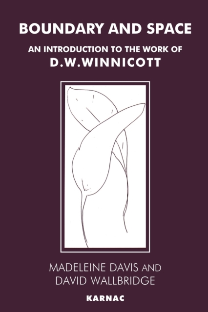 Boundary and Space: An Introduction to the Work of D.W. Winnicott - Madeleine Davis