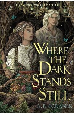 Where the Dark Stands Still - A. B. Poranek