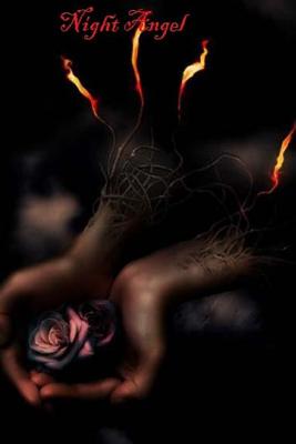 Night Angel: Book One in the Angel's Trilogy - Kadee Nichols