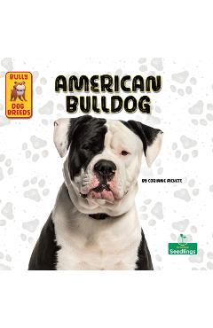 Coperta cărții 'American Bulldog - Corinne Fickett'