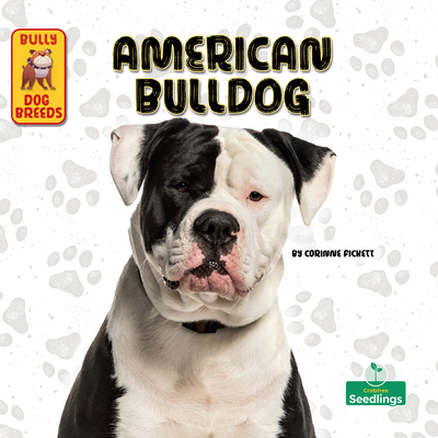Coperta cărții 'American Bulldog - Corinne Fickett'