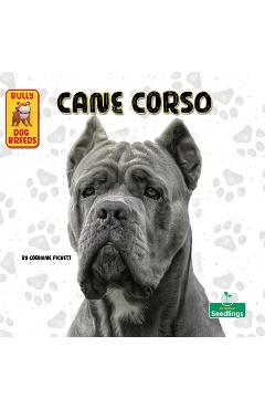 Coperta cărții 'Cane Corso - Corinne Fickett'