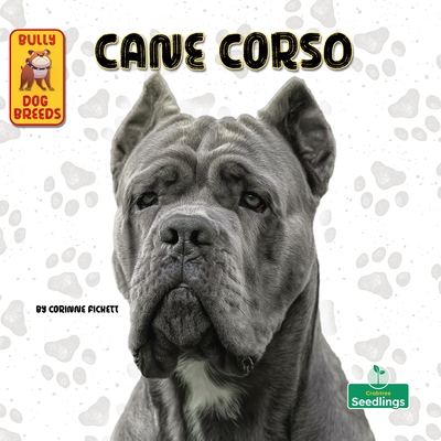 Coperta cărții 'Cane Corso - Corinne Fickett'