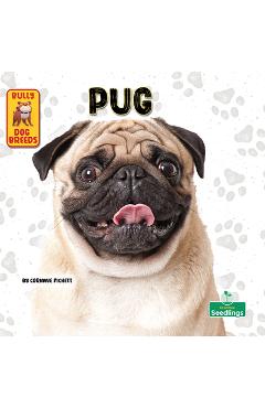 Coperta cărții 'Pug - Corinne Fickett'