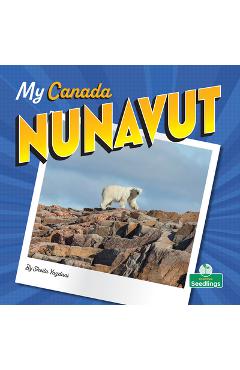Coperta cărții 'Nunavut - Sheila Yazdani'