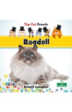 Coperta cărții 'Ragdoll - Bernard Conaghan'