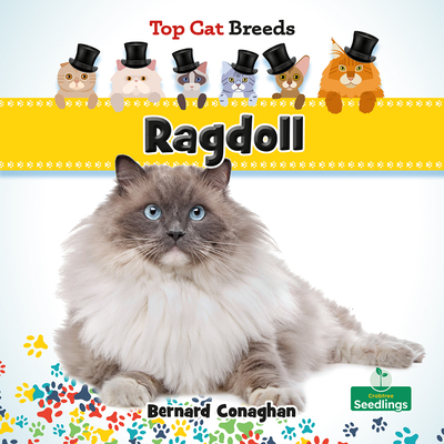 Coperta cărții 'Ragdoll - Bernard Conaghan'