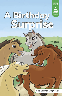 A Birthday Surprise - Sara Schultz