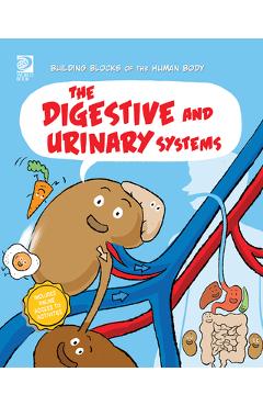 Coperta cărții 'The Digestive and Urinary Systems - Joseph Midthun'