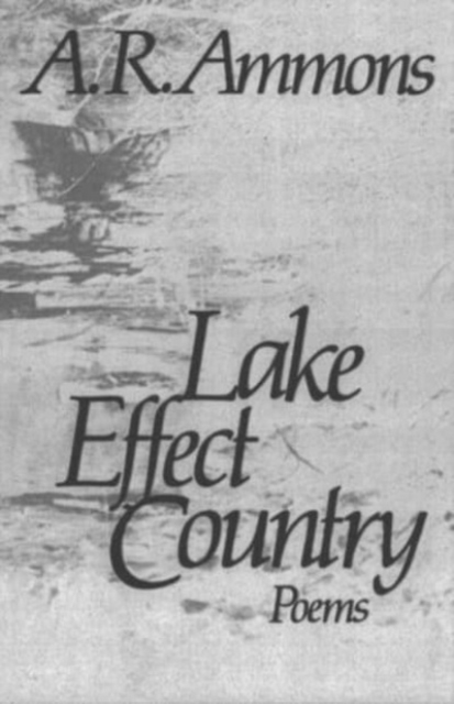 Lake Effect Country: Poems - A. R. Ammons