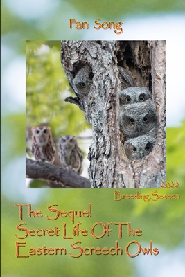 The Sequel Secret Life Of The Eastern Screech Owls: Breeding Season 2022 - Edward Song