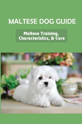 Maltese Dog Guide: Maltese Training, Characteristics, & Care: Alpha Dog For Maltese Dog - Carlotta Rinaldo