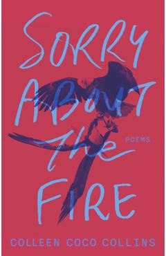 Coperta cărții 'Sorry about the Fire - Colleen Coco Collins'