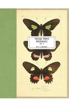 Vintage Prints: Butterflies: Vol. 4 - E. Lawrence