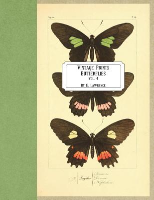 Coperta cărții 'Vintage Prints: Butterflies: Vol. 4 - E. Lawrence'