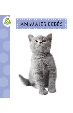 Poza produsului Animales Bebés - Anastasia Suen