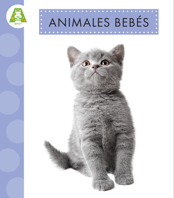 Animales Bebés - Anastasia Suen