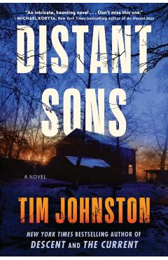 Distant Sons - Tim Johnston