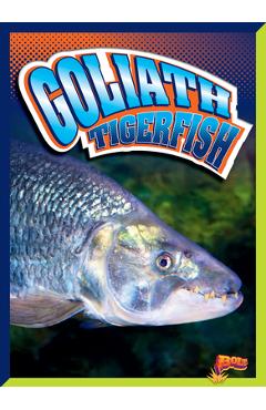 Coperta cărții 'Goliath Tigerfish - Gail Terp'