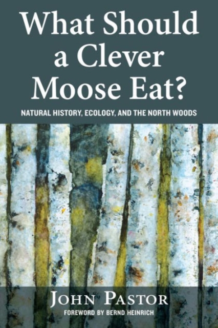 Coperta cărții 'What Should a Clever Moose Eat?: Natural History, Ecology, and the North Woods - John Pastor'