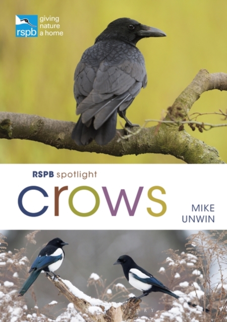 Rspb Spotlight Crows - Mike Unwin