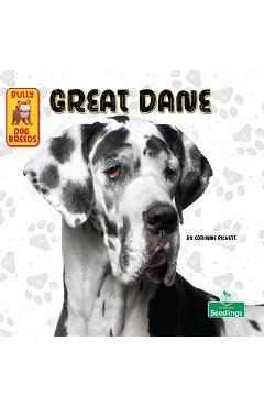 Coperta cărții 'Great Dane - Corinne Fickett'