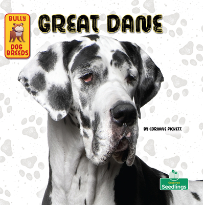 Coperta cărții 'Great Dane - Corinne Fickett'