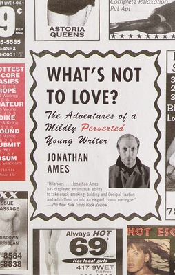 What's Not to Love?: The Adventures of a Mildly Perverted Young Writer - Jonathan Ames