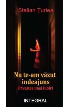 Coperta cărții Nu te-am vazut indeajuns. Povestea unei iubiri - Stelian Turlea