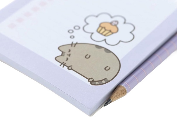 Carnet magnetic: Pusheen. Moments