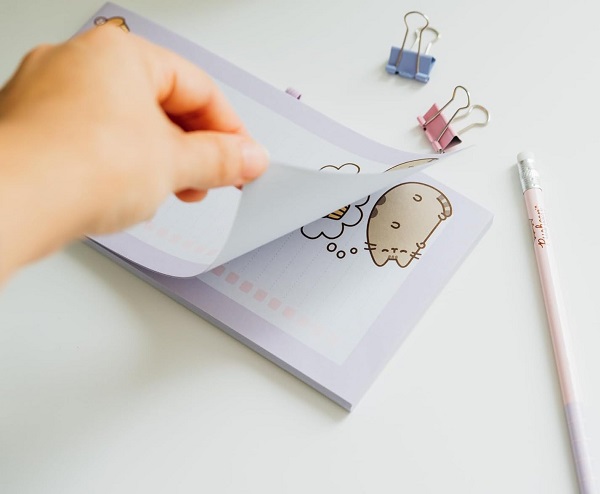 Carnet magnetic: Pusheen. Moments