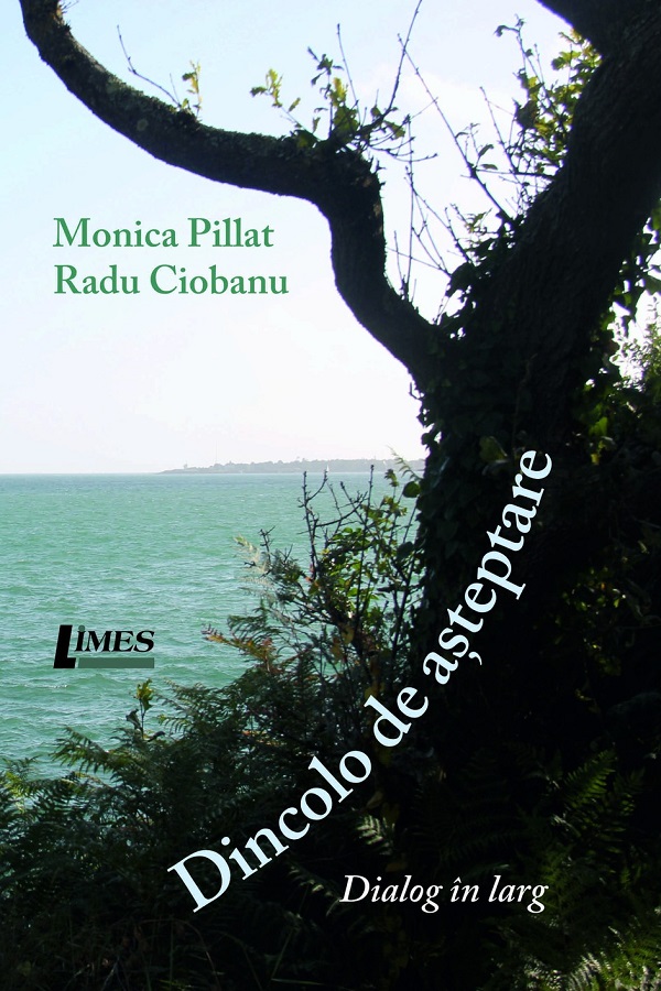 Dincolo de asteptare. Dialog in larg - Monica Pillat, Radu Ciobanu