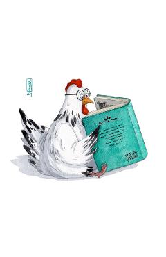 Poza produsului Carte postala: Gaina culta. Kotkodak