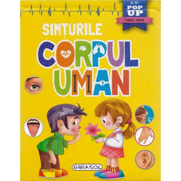Mini pop-up: Corpul uman. Simturile