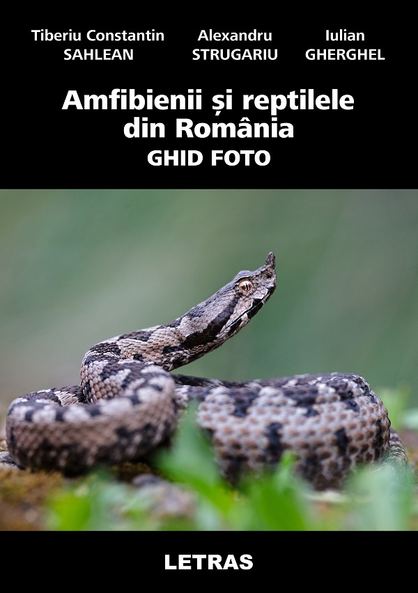 eBook Amfibienii si reptilele din Romania. Ghid Foto - Alexandru Strugariu, Iulian Gherghel, Tiberiu Constantin Sahlean