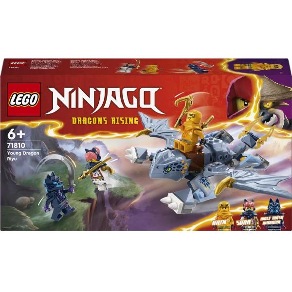 Lego Ninjago: Tanarul Dragon Riyu