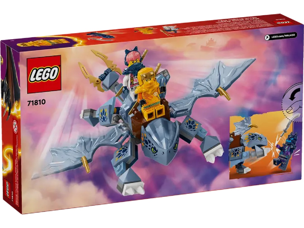 Lego Ninjago: Tanarul Dragon Riyu