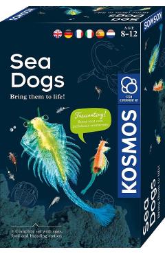 Poza produsului Kit STEM: Animale marine