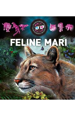 Poza produsului Feline mari 3D