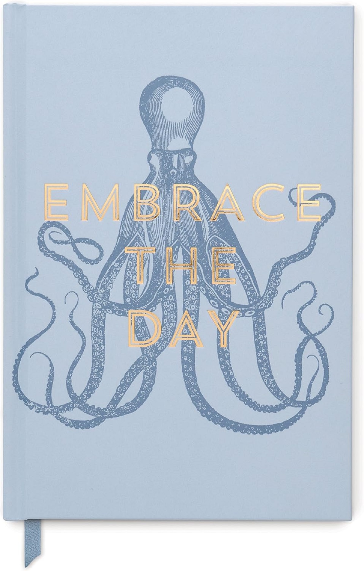 Agenda: Octopus. Embrace the Day