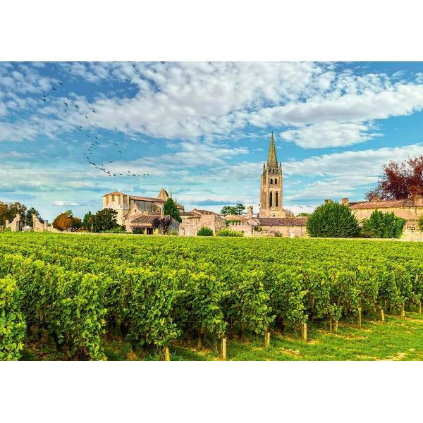 Puzzle 500: Bordeaux Vineyards. France