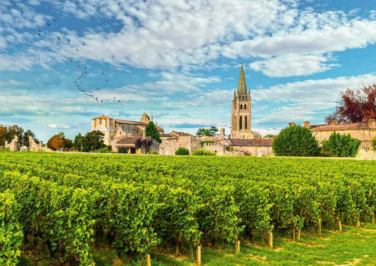 Puzzle 500: Bordeaux Vineyards. France