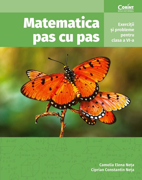 Matematica pas cu pas - Clasa 6 - Exercitii si probleme - Camelia Elena Neta, Ciprian Constantin Neta