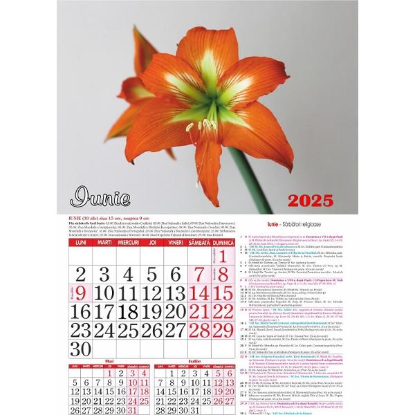 Calendar 2025: Flori