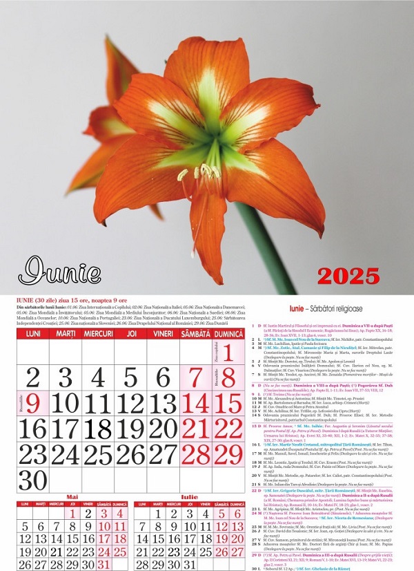 Calendar 2025: Flori