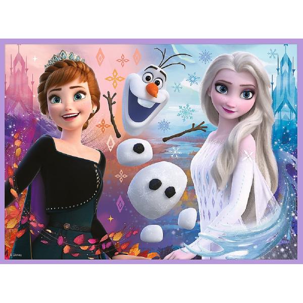 Puzzle 2 in 1 + Memo. Disney Frozen. Printesele si taramul lor